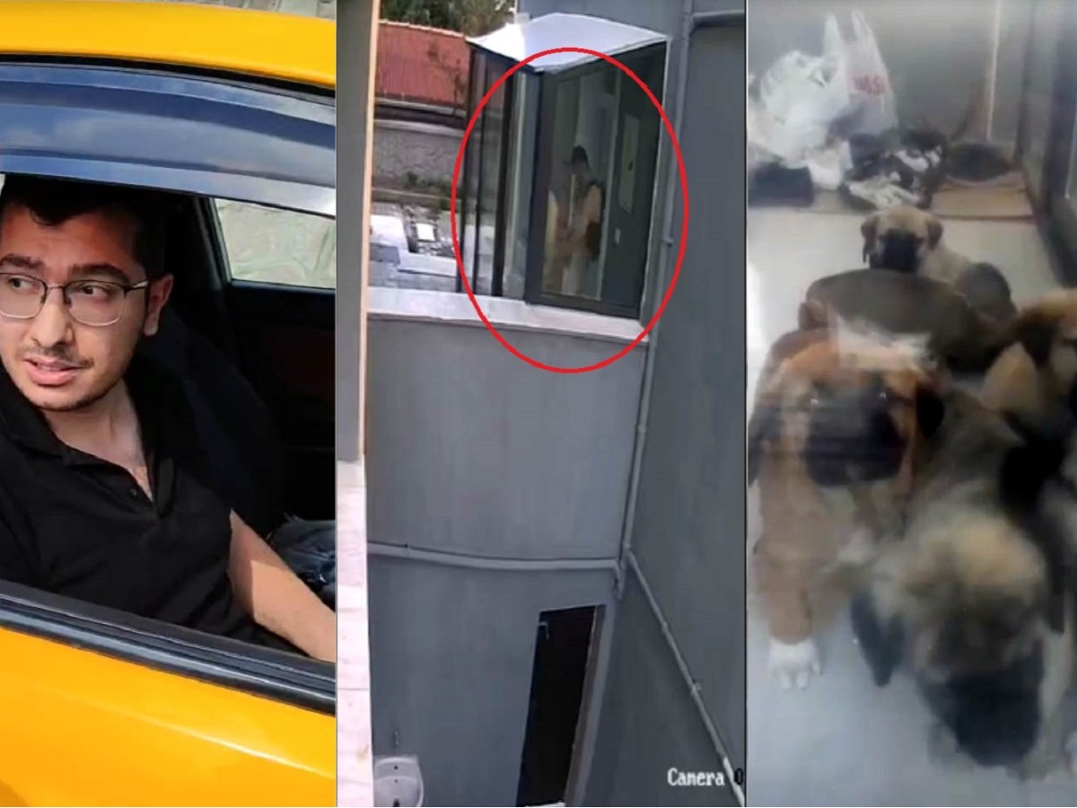 Ankara vahşeti: Katil doktorun sahiplenme bahanesiyle öldürdüğü köpeklerin sayısı 26'ya yükseldi