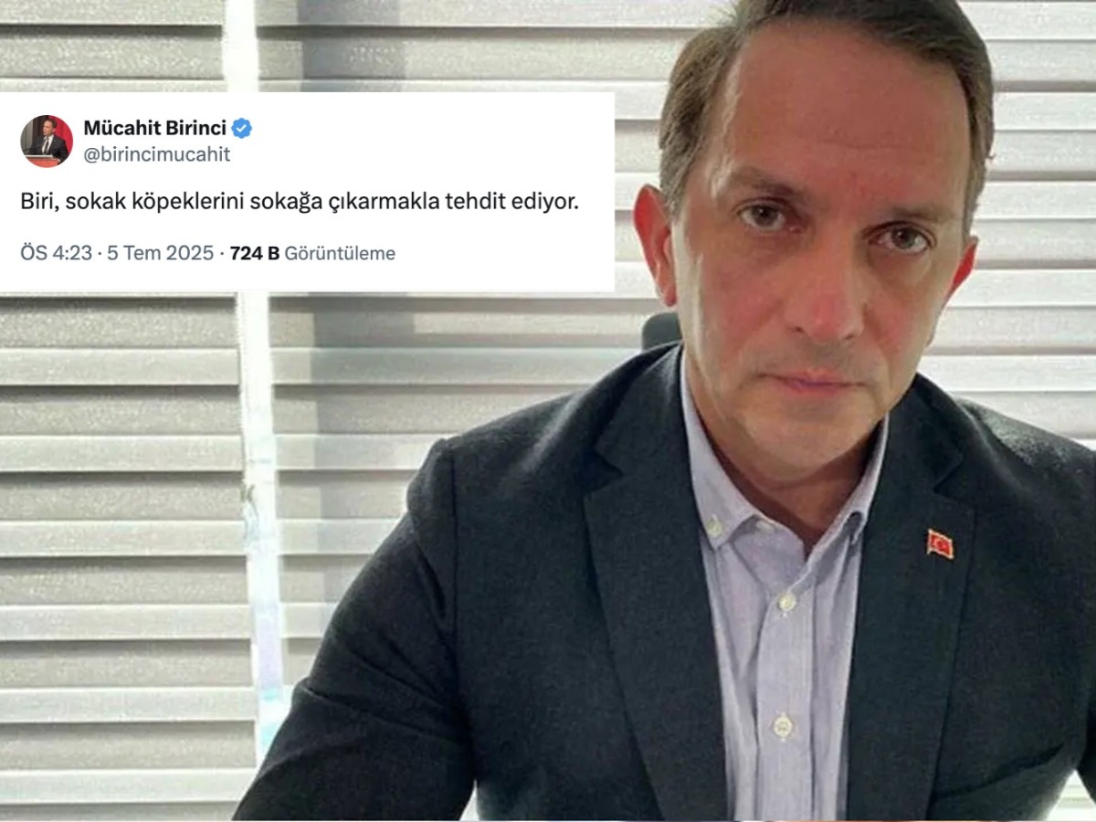 AKP'li Birinci CHP'lilere hakaret etti: Özgür Özel sokak köpeklerini sokağa çıkarmakla tehdit ediyor