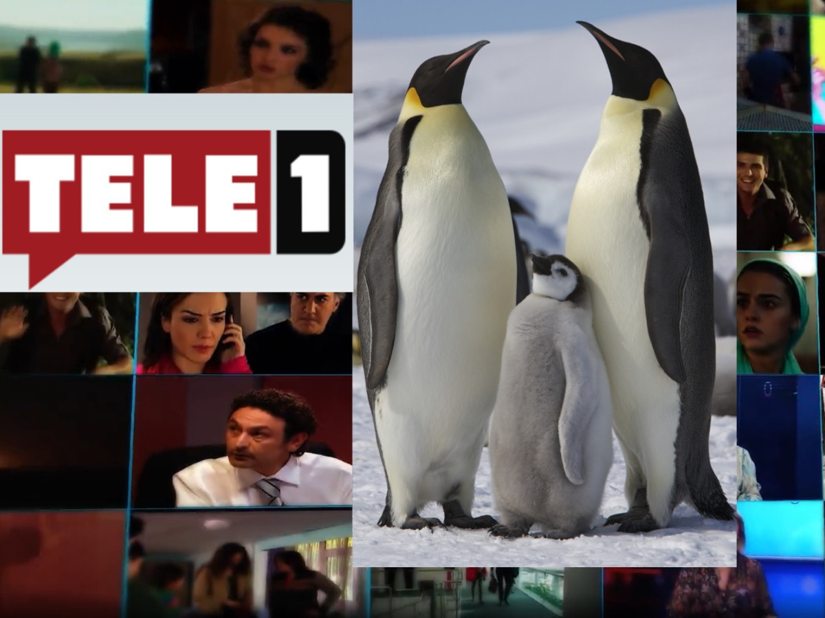 Muhalif haber kanalı TELE 1 kayyumun elinde resmen penguen kanalına dönüştü: Artık haber yok