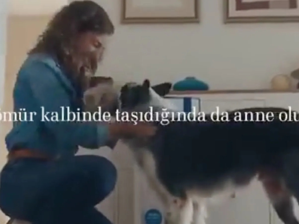 Bosch’un Anneler Günü reklamı neden trollerin hedefi oldu?