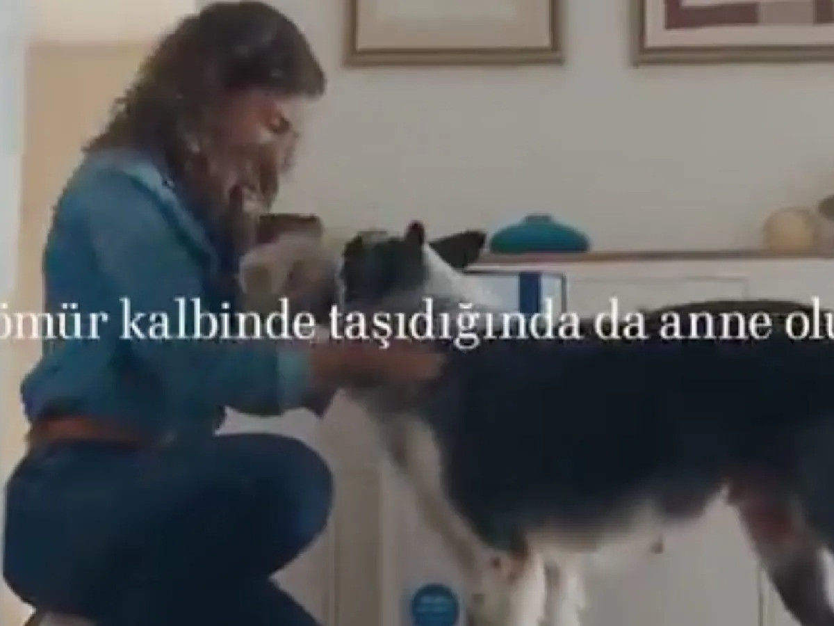 Bosch’un köpek annesi reklamı tartışma yarattı: RTÜK inceleme başlattı