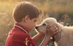 Köpekler ve çocuklarla ilgili çarpıcı araştırma: Faydası ortaya çıktı