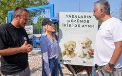 Süperstar Ajda Pekkan Emekli hayvanlar çiftiğini ziyaret etti
