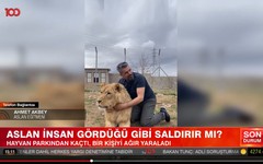 Karşınıza aslan çıkarsa bunu sakın yapmayın: Aslan eğitmeni Ahmet Akbey tv100'de anlattı