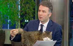 Şamil Tayyar bombayı patlatıyor: Mehmet Akif Ersoy’dan daha büyük skandalı olan yandaş medyacı kim?