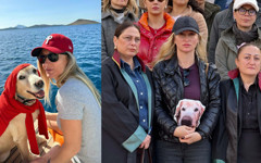 Bodrum'da otomobilin çarpıp öldürdüğü köpek Çinko için adalet istediler