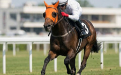 Kavurma yapılan yarış atının sahibinden açıklama geldi; Hayır yapmak isterken...