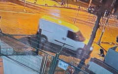 Kadıköy’de kargocu vahşeti: Kaldırımda yatan köpeği ezip öldürdüler, yola devam ettiler