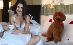 Nesrin Cavadzade’nin köpeği Dolce için lüks kutlama