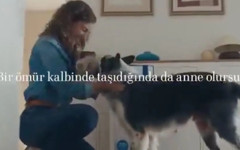Bosch’un Anneler Günü reklamı neden trollerin hedefi oldu?