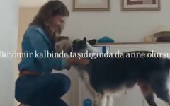 Bosch’un köpek annesi reklamı tartışma yarattı: RTÜK inceleme başlattı