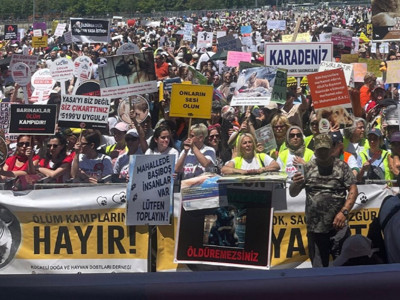 Hayvanseverler kazandı: Ötanazi ve toplatma kararı reddedildi!