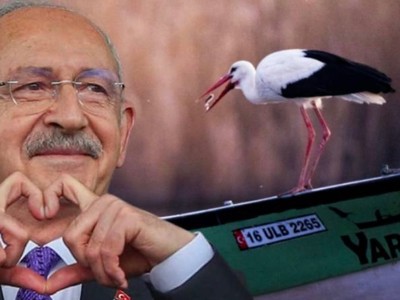 Kılıçdaroğlu leylek için hoşgeldin mesajı yayınladı