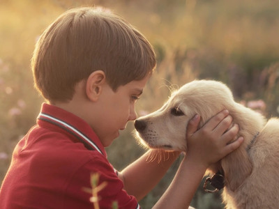 Köpeklerin burnu mucize yarattı: Parkinson hastalığını yıllar önce anlıyorlar