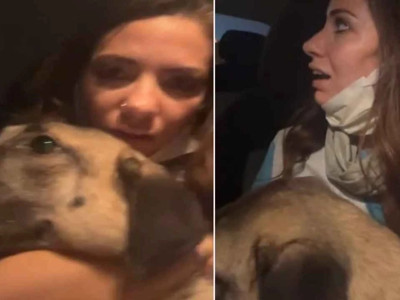 Bursa orman yangını: Kucağındaki köpekle alevlerden kaçtı