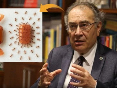 Kadınlar sessiz kalmadı: Nevzat Tarhan geri adım attı