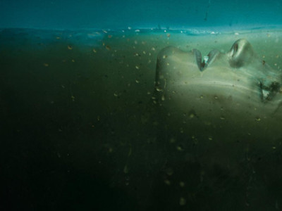 Prime Video'dan Netflix'e transfer: İzleyiciyi 10 dakikada yakaladı