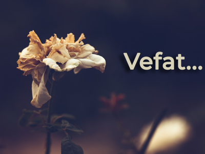 NOW Haber kameramanı Akif Balıkçıoğlu’nun acı günü