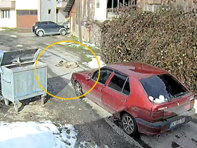 Bolu'da insanlıktan utandıran vahşet: Yolda uyuyan köpeğin üzerinden arabayla geçti