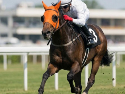 Yarış atı Smart Latch nasıl kavurma oldu?