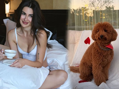 Nesrin Cavadzade’nin köpeği Dolce için lüks kutlama