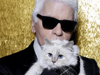 Karl Lagerfeld'in 1,7 milyon Euro bıraktığı kedisi Choupette, mirasından tek kuruş alamadı