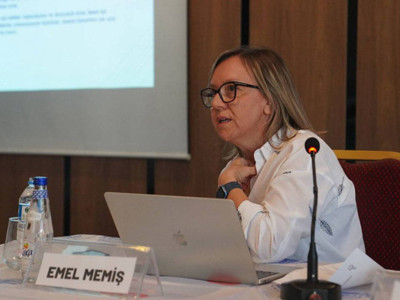 NATO operasyonunda tutuklanan Doç. Dr. Emel Memiş yaşadıklarını anlattı