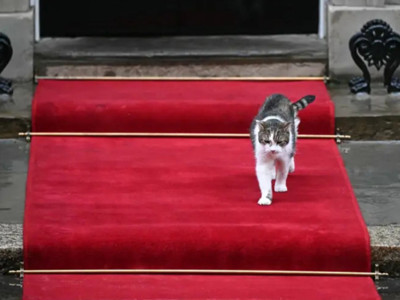 İngiltere’nin Baş fare avcısı Larry. görevde 6 başbakan eskitti