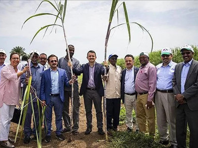 AKP'nin Sudan'da Kurduğu Hayali Tarım Şirketinde Kimlere Ballı Maaş Verilmiş?