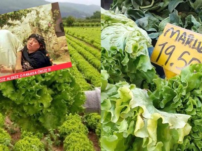 Marulun Demeti 20 Lira Oldu, Sosyal Medya Ayağa Kalktı: Halk Artık Ot da Yiyemeyecek