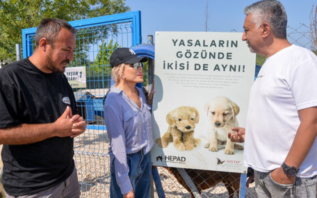 Süperstar Ajda Pekkan Emekli hayvanlar çiftiğini ziyaret etti