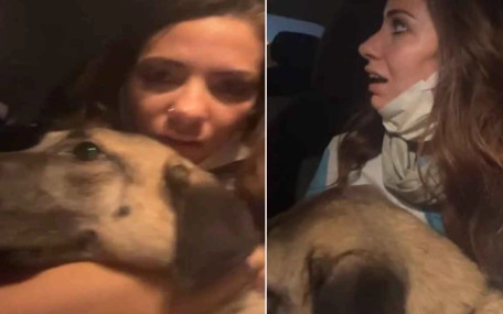 Bursa orman yangını: Kucağındaki köpekle alevlerden kaçtı