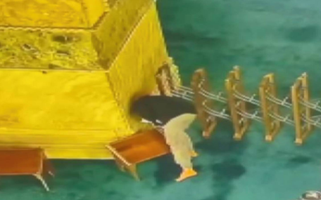 Ayasofya'yı İncil ve yazmayla yakma girişimine 13 yıla kadar hapis talebi