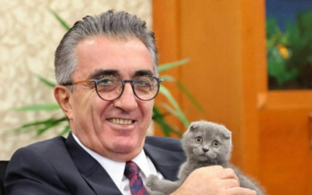 Sıra kediye geldi: Hasan Mutlu’nun Bulut”una kayyum atandı!