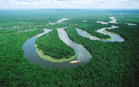 Amazon Ormanları’na 328 delege gönderdik