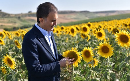 AKP Sözcüsü Çelik’ten şaşırtan İmamoğlu paylaşımı