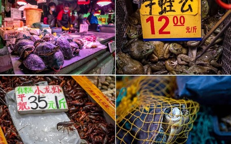 Çin pazarlarında ölümcül ticaret sürüyor