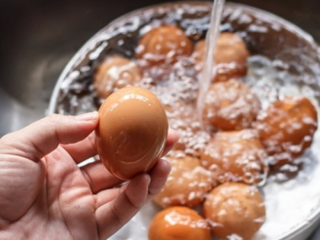 Marketlerde satılan yumurta kodlarını iyi okuyun: Asıl fark mikroskopta ortaya çıkıyormuş