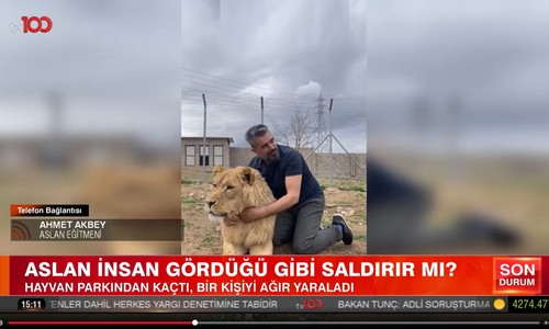 Karşınıza aslan çıkarsa bunu sakın yapmayın: Aslan eğitmeni Ahmet Akbey tv100'de anlattı