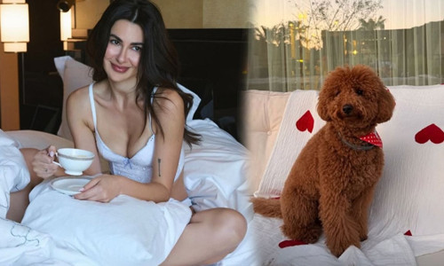 Nesrin Cavadzade’nin köpeği Dolce için lüks kutlama