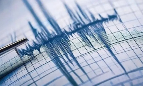 Doğu’da deprem hareketliliği: Bingöl’den sonra Muş sallandı
