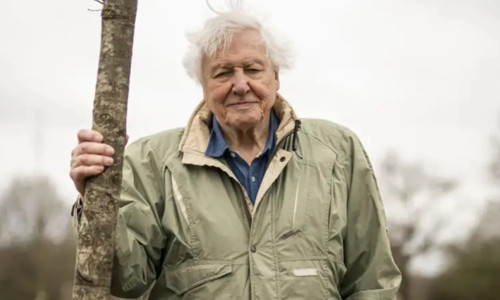 David Attenborough: Doğaya bakışımızı değiştiren belgeselci 100 yaşında
