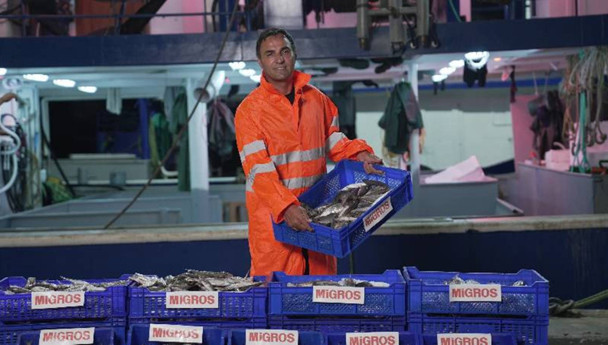 Migros 10 bin ton balık alacak