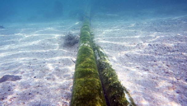 NATO’dan internet alarmı: Kritik su altı kabloları tehlikede