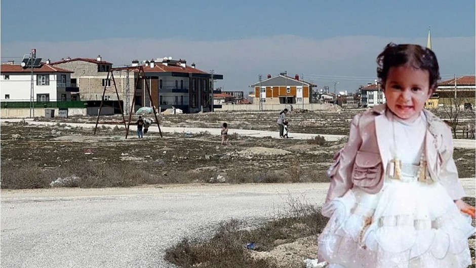 İstanbul Barosu: 2 yaşındaki Rana'nın köpek saldırısıyla öldüğüne dair hiçbir kanıt ve tanık yok
