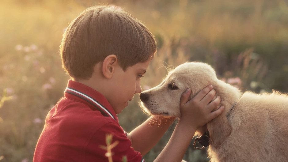 Köpeklerin burnu mucize yarattı: Parkinson hastalığını yıllar önce anlıyorlar