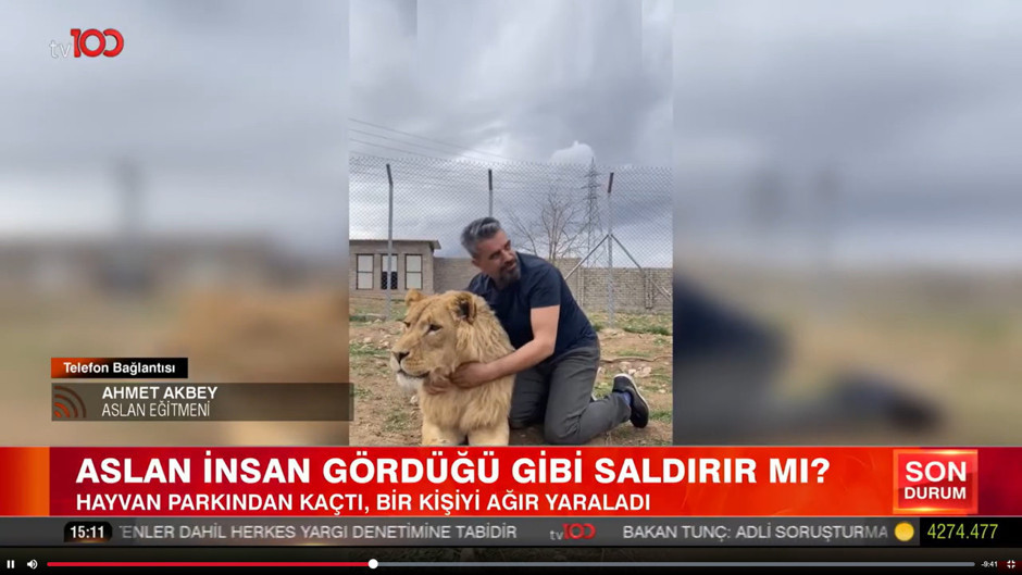Karşınıza aslan çıkarsa bunu sakın yapmayın: Aslan eğitmeni Ahmet Akbey tv100'de anlattı