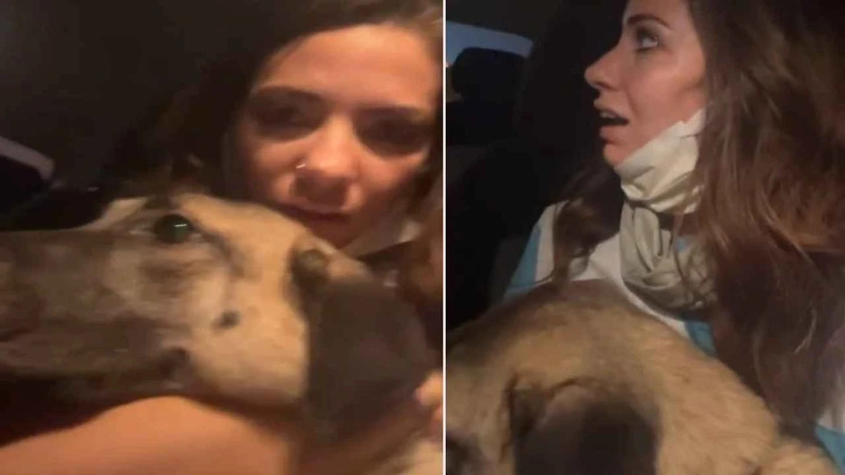 Bursa orman yangını: Kucağındaki köpekle alevlerden kaçtı