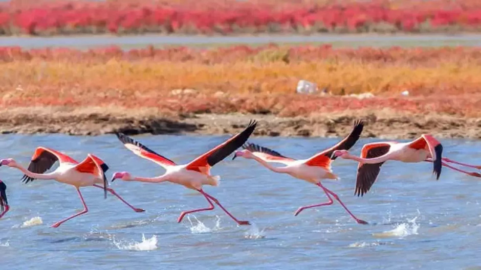 Sahte Diplomalı mühendis baraj bile yapmış