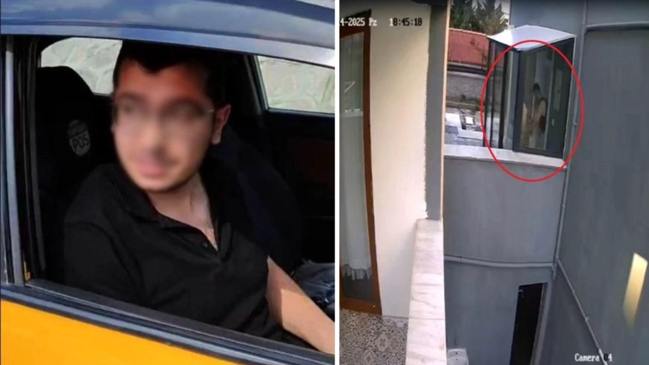 Hayvanlara işkence davasında şoke eden detay: Hatıra saçlar insana ait çıkmadı!